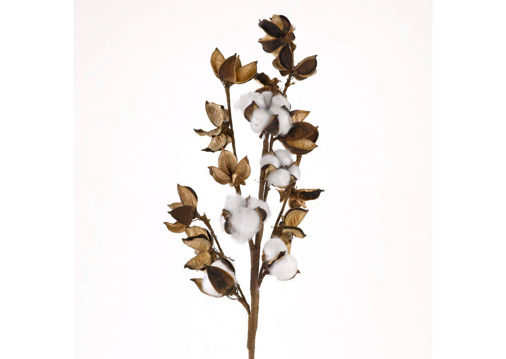 FL2411 Cotton Ball Branch