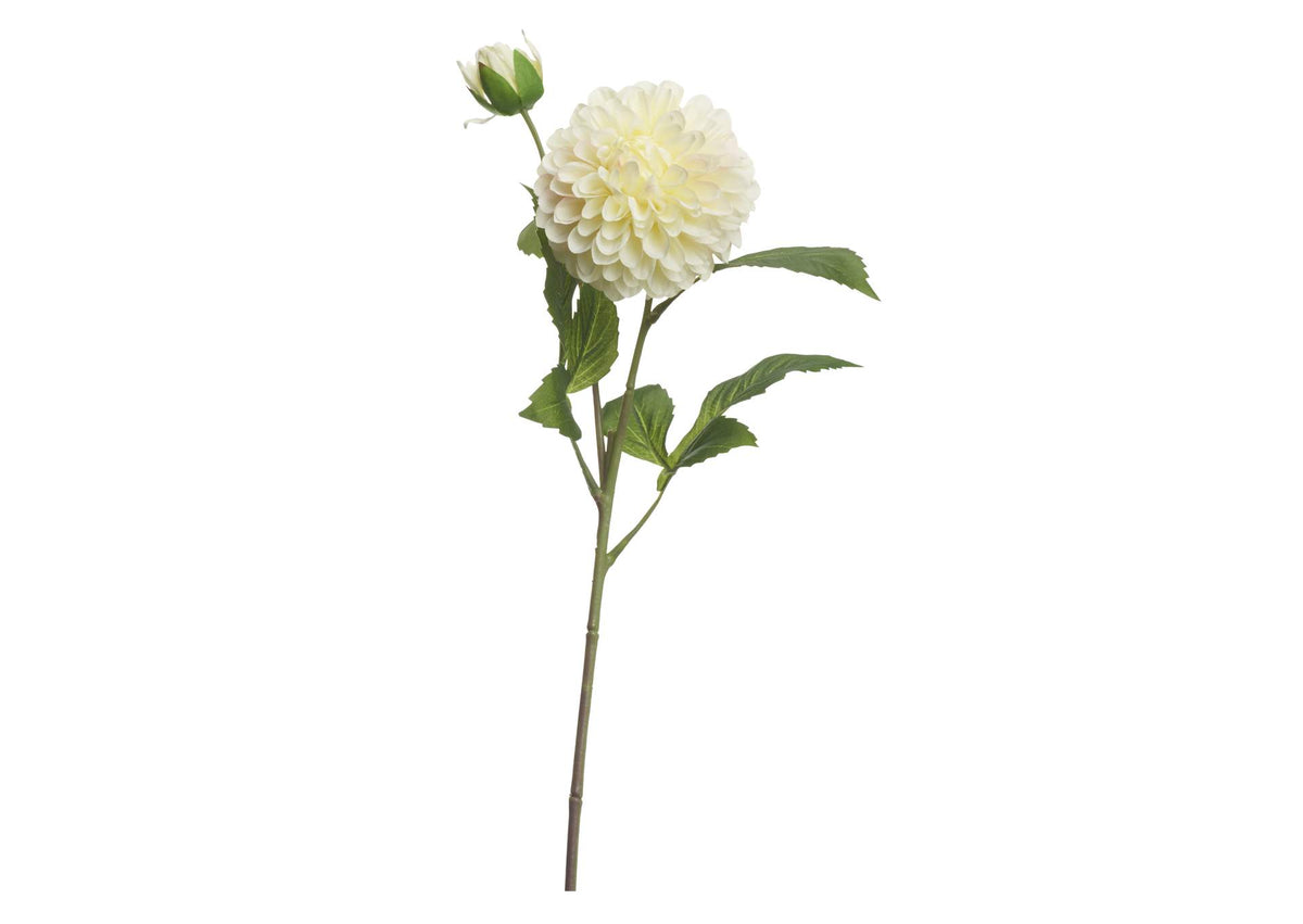 FL2520 Cream Dahlia Stem