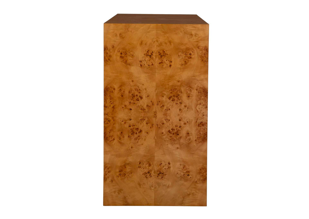 24381 Uttermost Indus Drawer Burl Chest