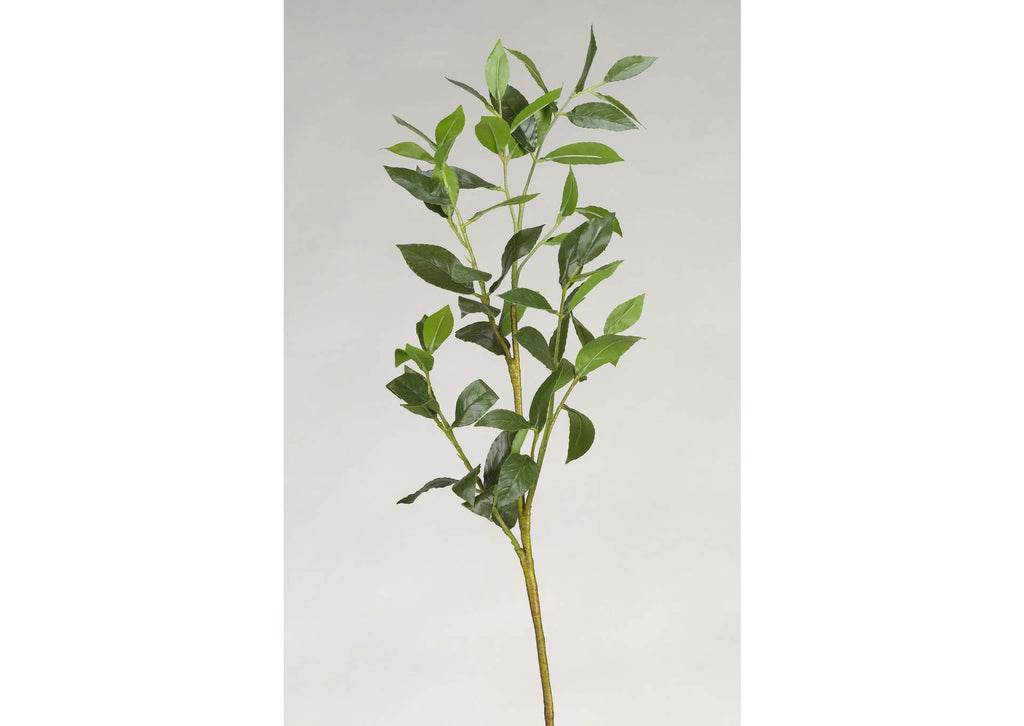GR1937 Bay Leaf Spray