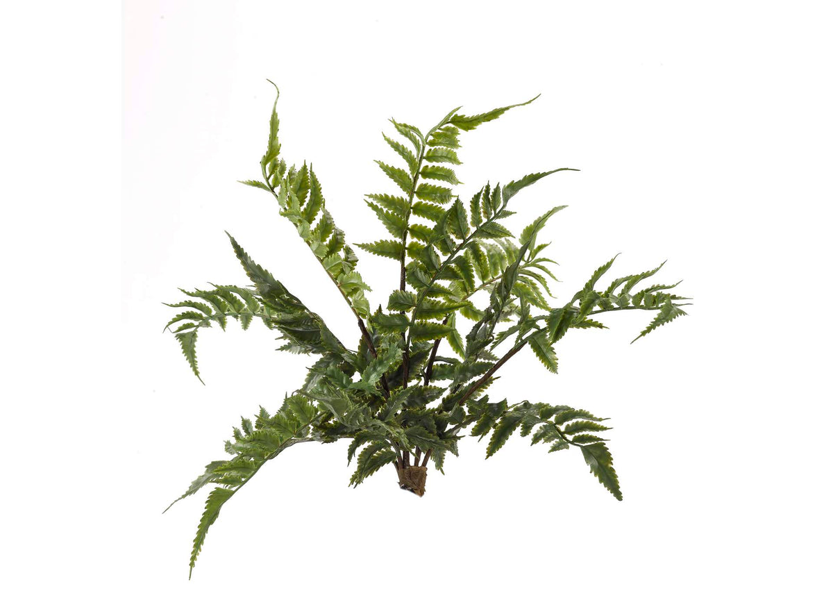 GR1978 Two Tone Leather Fern Bush