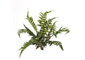 GR1978 Two Tone Leather Fern Bush