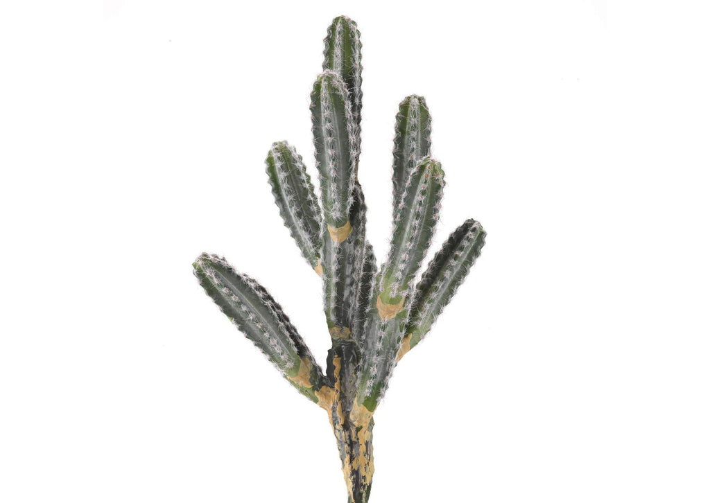 GR2001 14" 9 Arm Cactus Planter