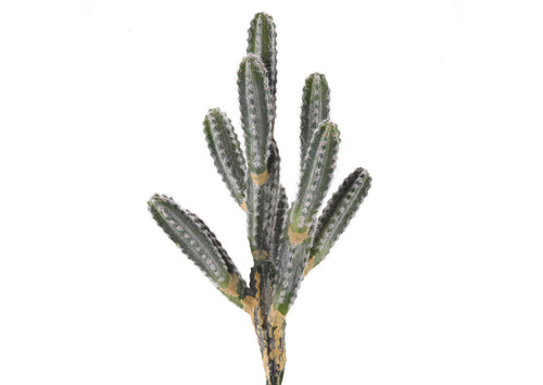 GR2001 14" 9 Arm Cactus Planter