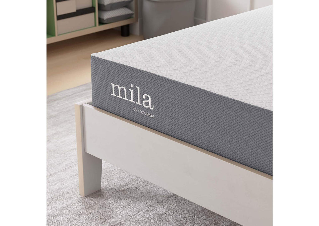 MOD-6256-WHI Mila 8" Twin Mattress By Modway