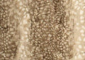 Fawn Pillow