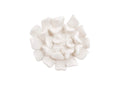 PH104152 Topsy Turvy Succulent Wall Art - White Stone