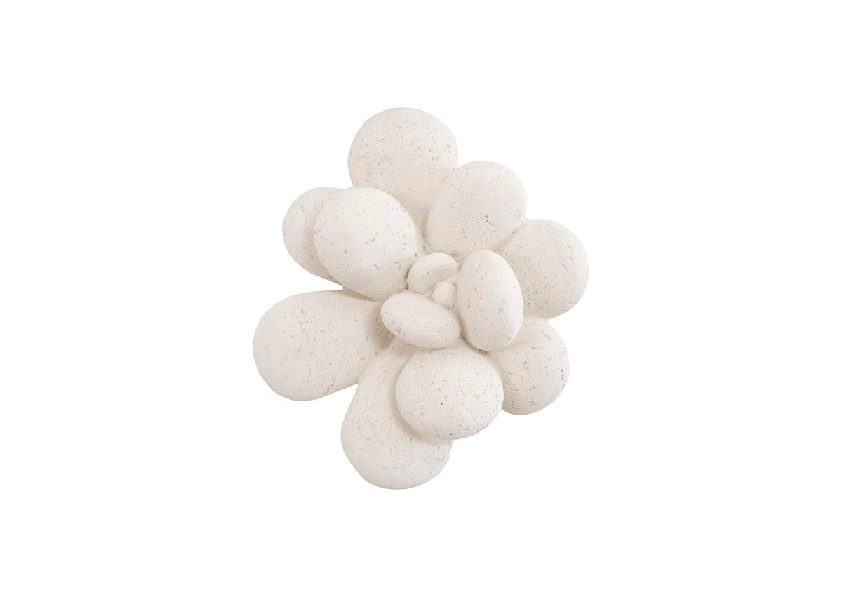 PH104154 Oviferum Succulent Wall Art - White Stone