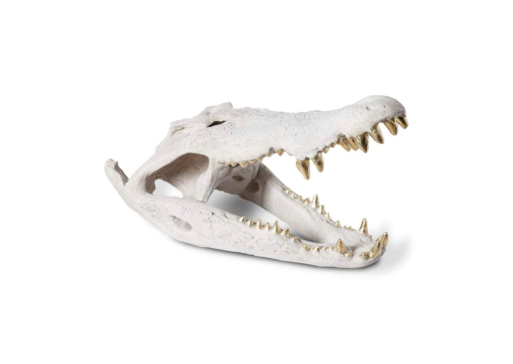 PH56708 Crocodile Skull - Roman Stone - Gold Leaf