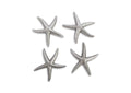 PH67528 Starfish - Silver Leaf - Set Of 4 - Sm