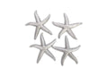 PH67532 Starfish - Silver Leaf - Set Of 4 - Lg