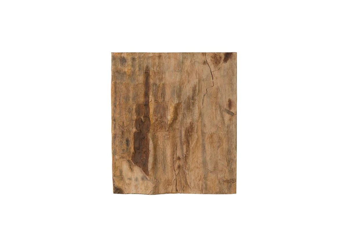 PH89988 Cast Petrified Wood Wall Tile - Resin - Square