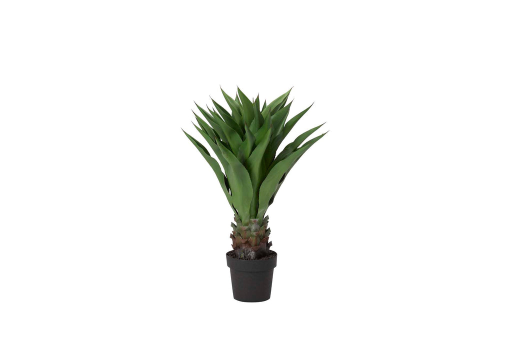 TL821 Sisal Plant in Black Plastic Pot